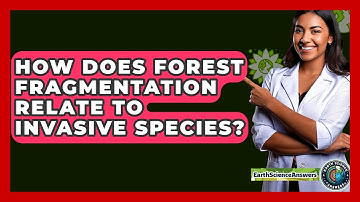 How Does Forest Fragmentation Relate To Invasive Species? - Earth Science Answers