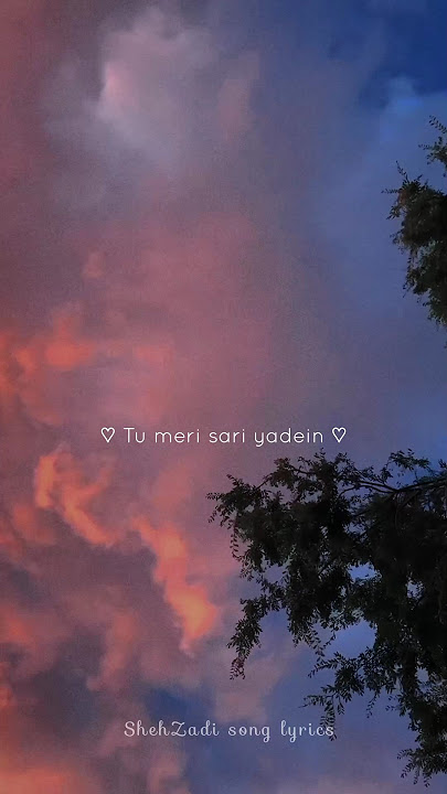 Tu meri sari yade Pani me Aaj bha de 🥰 animal song ✨ Love status #shorts