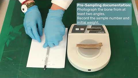 Sampling Archaeological Bones for Radiocarbon Dating