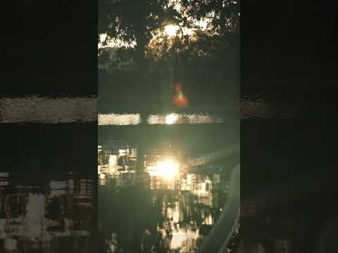 📍Jardim Mário Soares LisboaSong: Lana Del Rey - Paris, Texas ft. SYML