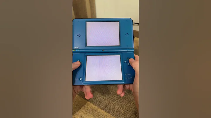 Brightness Shortcut On Nintendo DSi