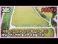 (공주시 탄천면 정치리) 🚗 40번 국도 3분 거리! 접근성 좋은 1191평 토지! 🔥 평당 7만 5천원! 초저가 1191평 토지 매매! 🌿 특용작물 비닐하우스 등 농업 적합지!