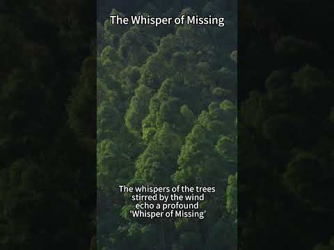The Whisper Of Missing