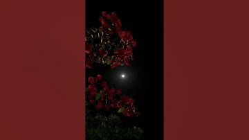 #راحة_نفسية #آيات #إذكروني_بدعوة #اذكار #اكسبلور #تلاوة #حالات #قرآن #قران_كريم #الجمعة #الله