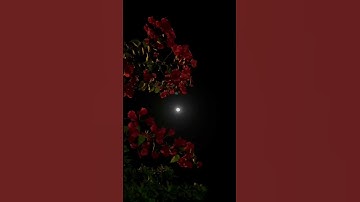 #راحة_نفسية #آيات #إذكروني_بدعوة #اذكار #اكسبلور #تلاوة #حالات #قرآن #قران_كريم #الجمعة #الله