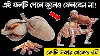 ফলটির মধ্যে লুকিয়ে আছে গোপন কাজ ! পাবেন বাড়ির পাশেই, মেহগনি গাছের ফলের উপকারিতা screenshot 1