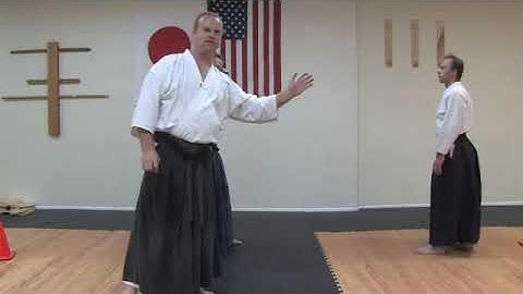 Aikido Armlock Throw Technique