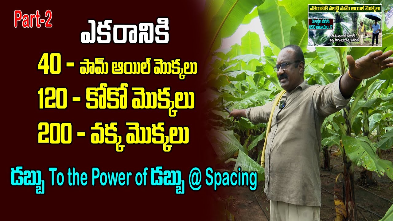 Чистая прибыль с акра при использовании этого метода... | Выращивание масличных слив | Выращивани...