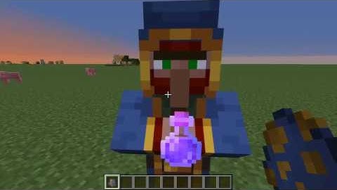 How to Load Your Own Custom Heads into the Wandering Trader. Minecraft 1.16