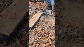 milling beautiful spalted maple slabs with Alaskan mill