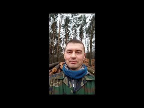 Samowyrób, drewno gałęziowego,