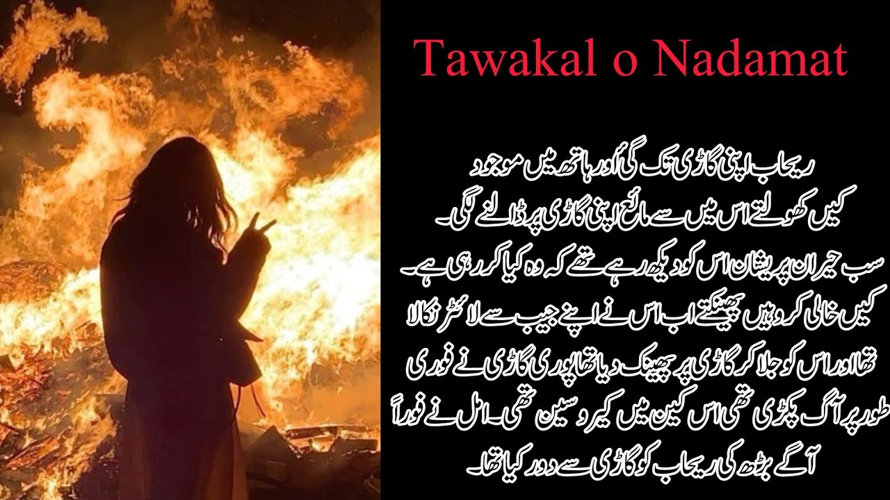 rehab-malik-who-is-saqlain-novelist-novel-growmyaccount