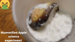 Mummified Apples