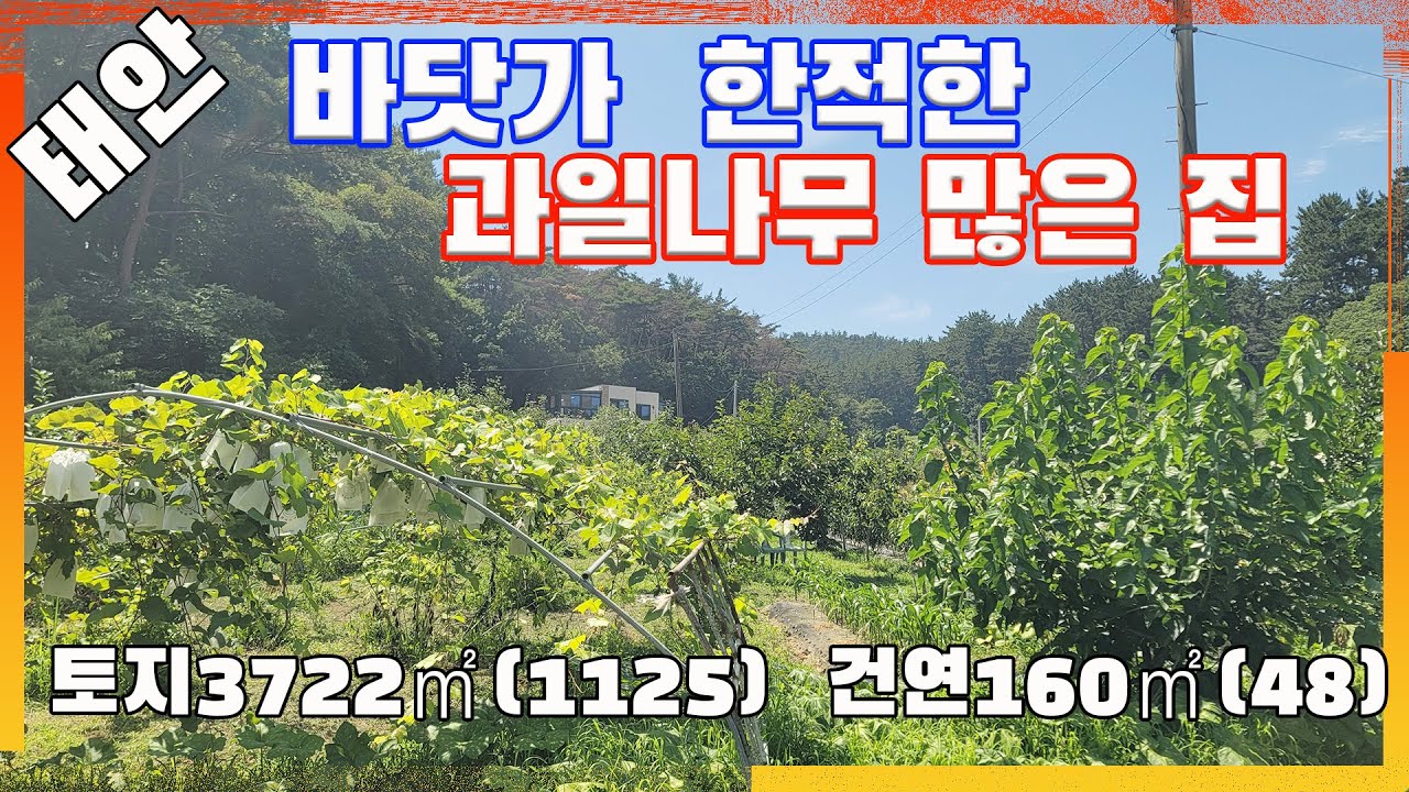 [물건번호3201]충남 태안군 원북면 