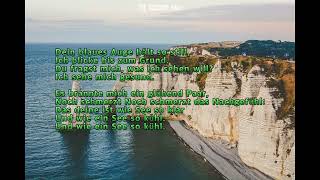 Dein blaues Auge, Johannes Brahms 곡, ahnpav, Pav Ahn, 안파브, 독일가곡, deutsch song, lyrics, 가사