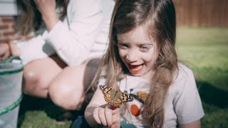 Butterfly Release | Amazon Butterfly Growing Kit
