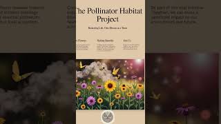 🌼 The Pollinator Habitat Creation Project 🌍