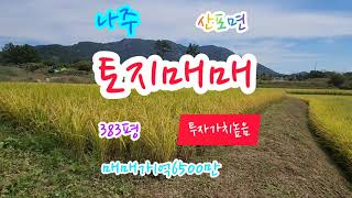 나주부동산, 광주15분거리, 산포면, 1266제곱(383평), 매매가1억6500만, 보전관리지역, 임야, 나주토지, 나주주택부지, 나주공인중개사