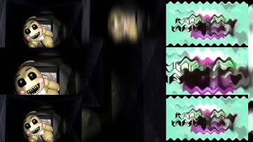 6 Shuric Scans with are slides (Megan Woodmansee