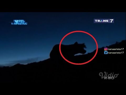 BIKIN MERINDING! 7 Spot Gunung Angker Di Indonesia On The Spot Trans 7 Terbaru 3 Agustus 2017