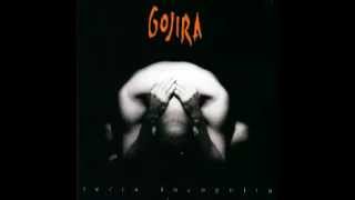 Gojira - Deliverance chords