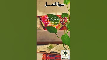 القرآن الكريم. سورة النمل.القارئ سعد الغامدي. #ارح_قلبك #tiktok #quran #youtube #likee #قرآن #القرآن