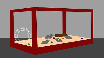 What Happens to Your Brain in Space