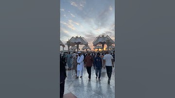 القرآن الكريم راحة نفسية #foryou #اكسبلور #الجزائر #france #السعودية