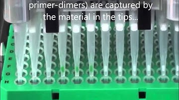 Diffinity RapidTip - Automated PCR Purification