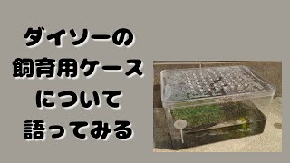 水換えついでにプラケースについて語る