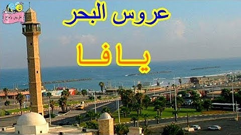 (عروس البحر) الدرس الحادي عشر للصف الثالث