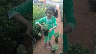తమ్ముడికి మొదటి నెల పుట్టినరోజు జరిపించిన మానుషి