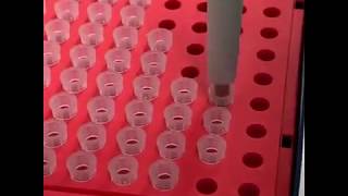 #TechThursday LXVIII: SDS-PAGE - Analyzing Proteins on a Gel