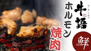 大阪の焼肉でホルモンが人気の牛語(うしがたり)