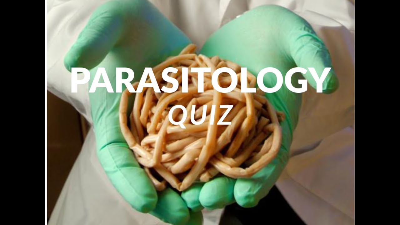 ВИКТОРИНА ПО ПАРАЗИТОЛОГИИ — проверьте свои знания