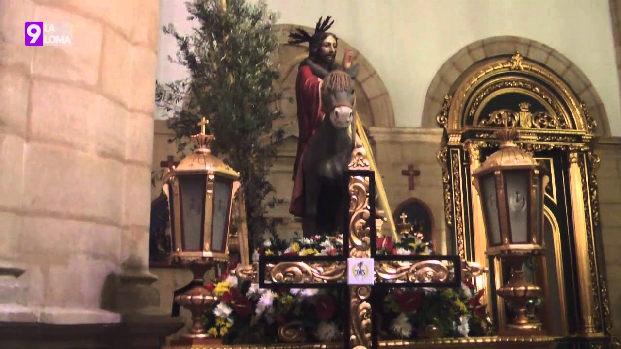 Semana Santa 2016 · Borriquillo, Sabiote
