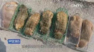 我在现场【平安365  20160523】