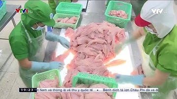 Đổi mới công nghệ thúc đẩy phát triển doanh nghiệp   VTV VN