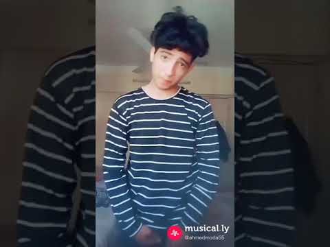 قاءد ويشهدلي شعبي احمد ميوزكلي 