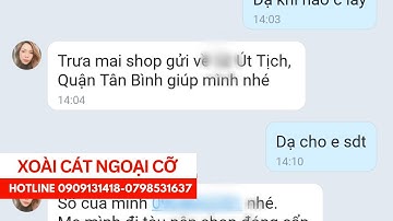 Xoài cát Hòa Lộc " ngoại cỡ " cho chị khách về quê thắp hương