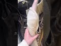 新年初のスピ活とルミネ爆買いVLOG💸 #みなせさらら #現役アイドル