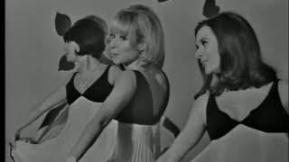 Les Parisiennes - Nous On Est Si Mignonnes 1966 Reupload