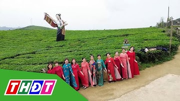 Đồi trà Mộc Châu - Điểm đến hấp dẫn du khách | THDT