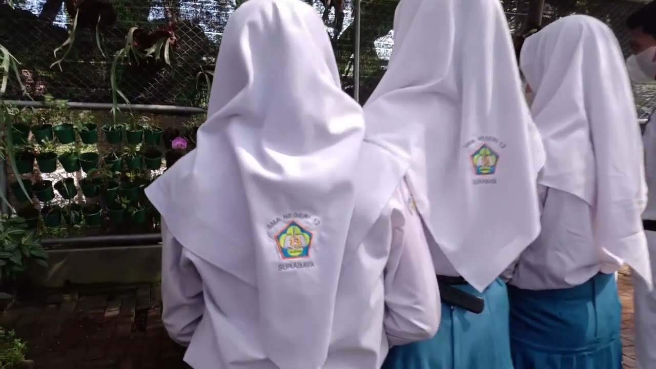 PELATIHAN BUDIDAYA TANAMAN ANGGREK 