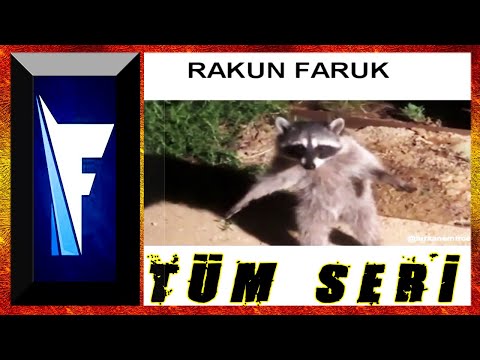 Furkan Emirce - Rakun Faruk Tüm Seri 1-21