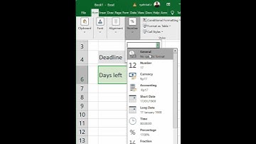 Calculate Remaining Days in Microsoft Excel