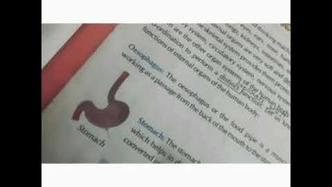 15-04-21 / CLASS 5TH/ E.V.S/ CH - 1(INTERNAL ORGANS AND THEIR FUNCTIONS)