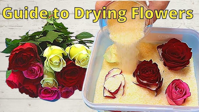 Dry Your Keepsake Flowers Using ACTÍVA's Flower Drying Art™ Silica Gel