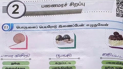 EE 4th std tamil workbook answers | 4th tamil term 1 unit 2 workbook answers 2025 - 2026
