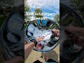 Under the sea on #steelpan on a sunny day. #beachmusic #disneymusic #tropical #musician